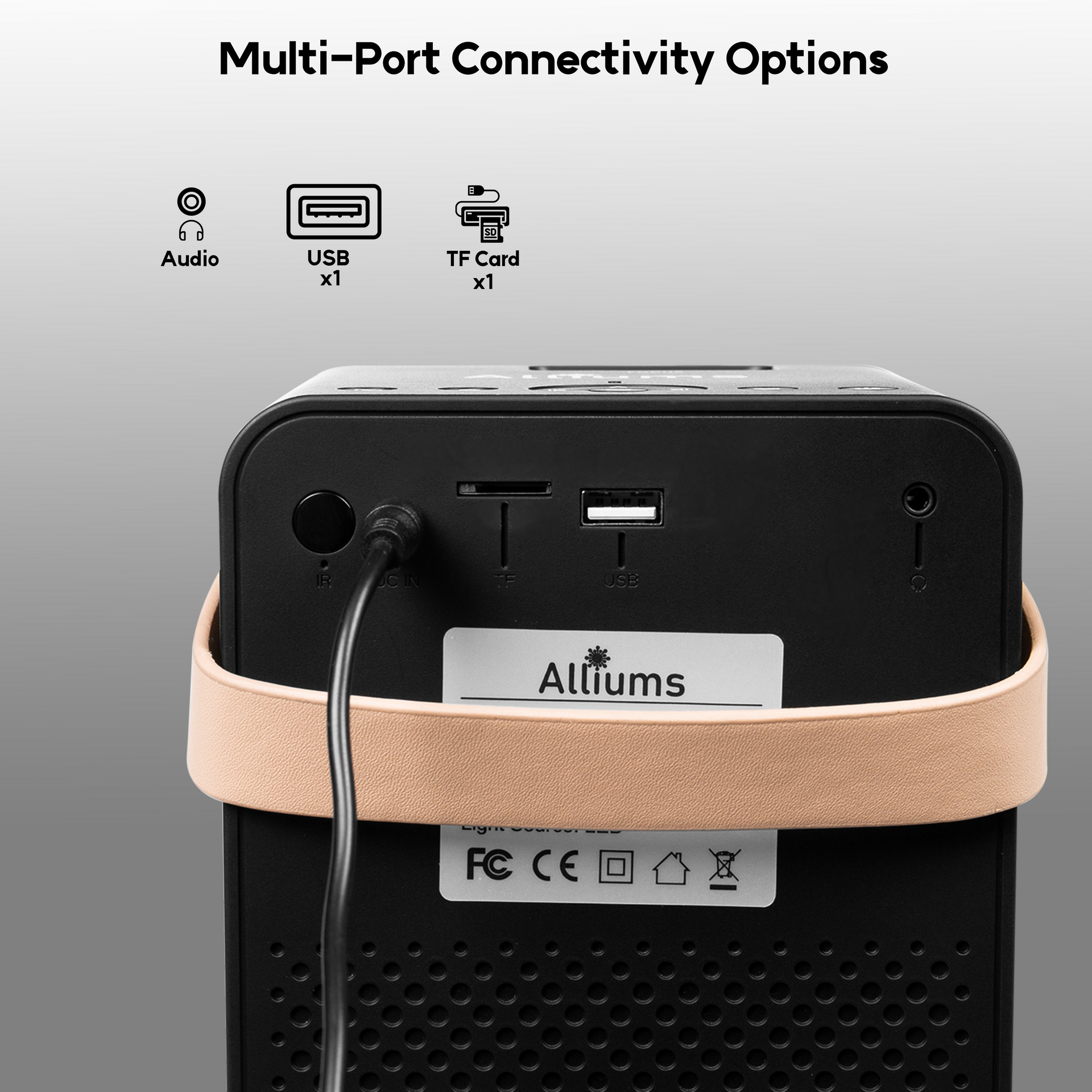 AP-12B_5th multi-port connectivity 