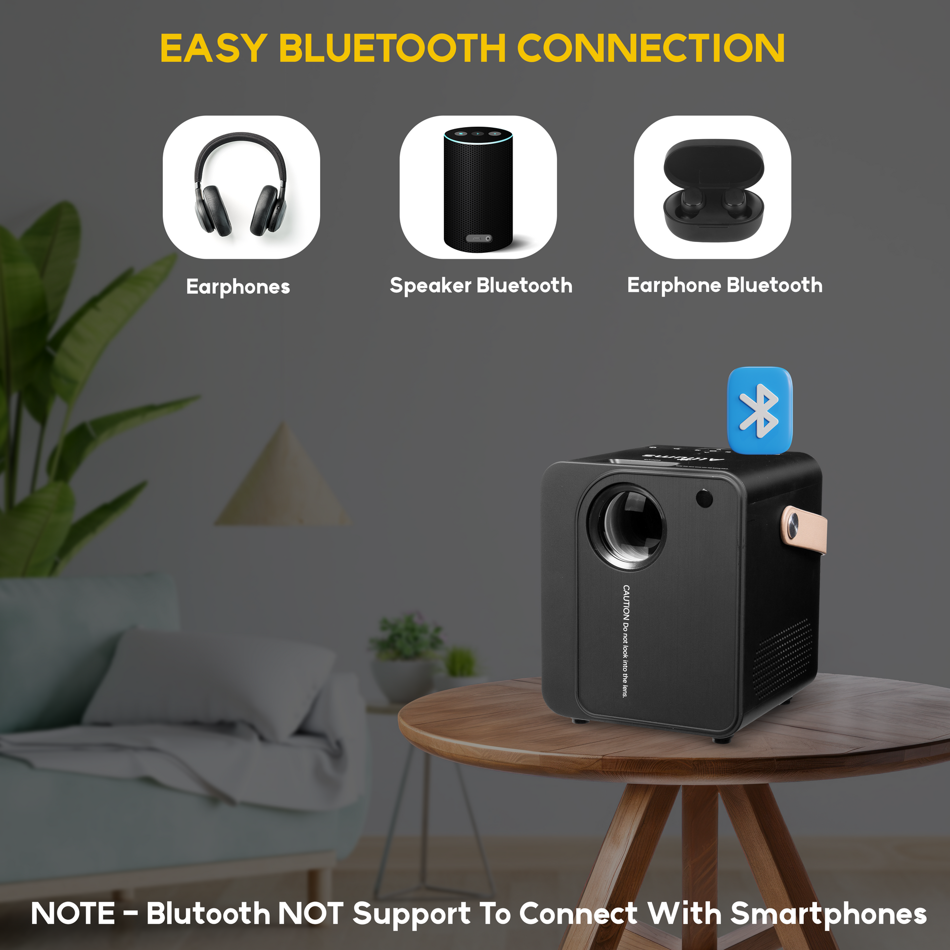 AP-12B_8th Bluetooth connection 