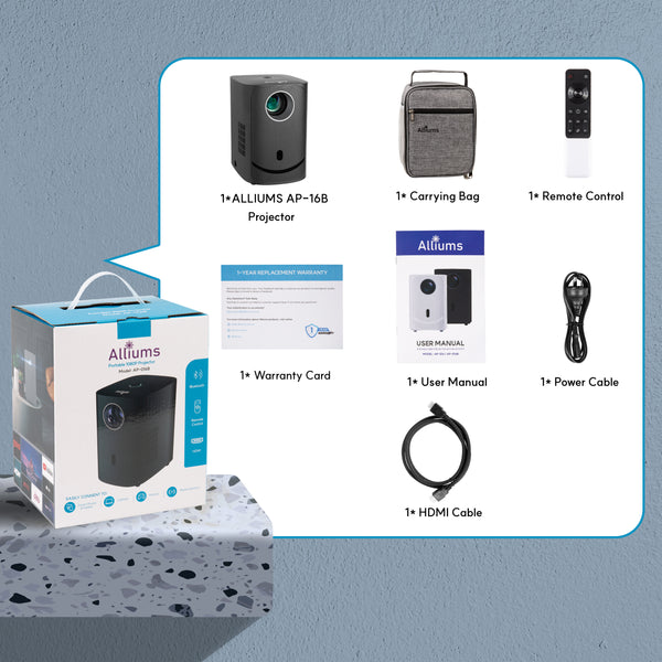 AP-16B_7th Projector box Content